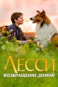 Постер Лесси. Возвращение домой (Lassie - Eine abenteuerliche Reise)