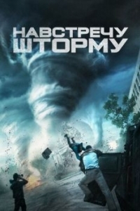 Постер Навстречу шторму (Into the Storm)