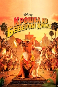 Постер Крошка из Беверли-Хиллз (Beverly Hills Chihuahua)